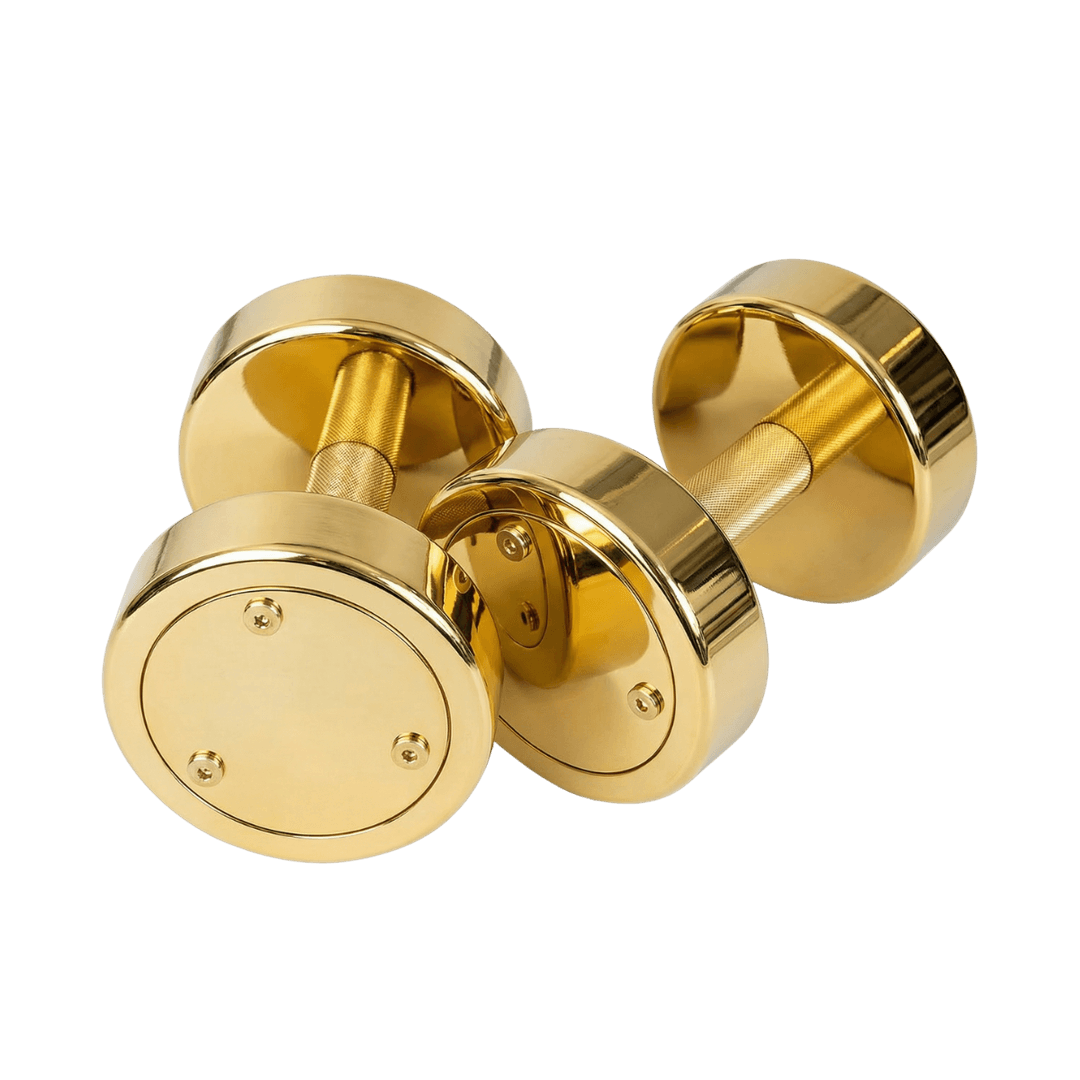 Custom dumbbell finish option 1 by Weight Supply