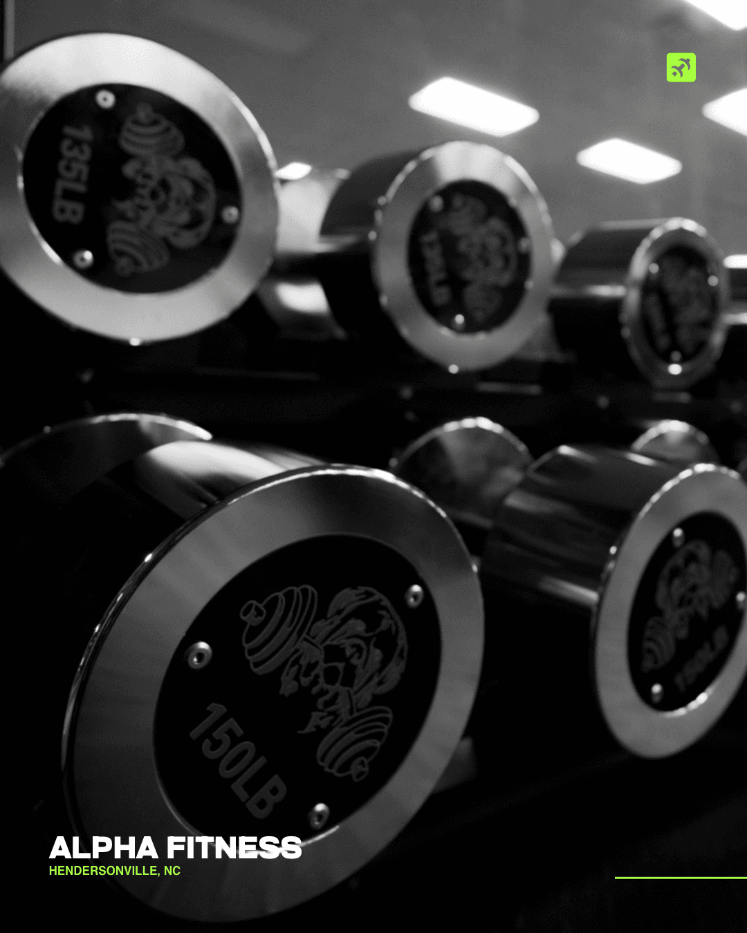 Custom-branded Weight Supply dumbbells on the floor at Alpha Fitness